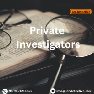 Private Investigators