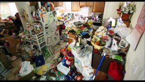 The Role of Professionals in Hoarding Help
