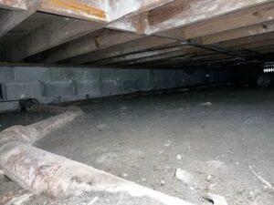 Crawl Space Mold Remediation
