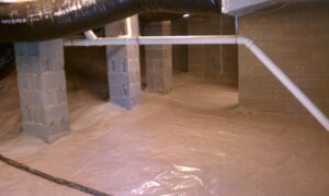 Crawl Space Mold Remediation