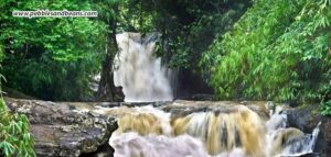 Best resort in Sakleshpur