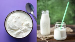 Where to Find the Best Greek Yogurt in Pakistan Today
