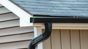 Best Gutter Cleaning 

