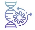 BDnews55.com