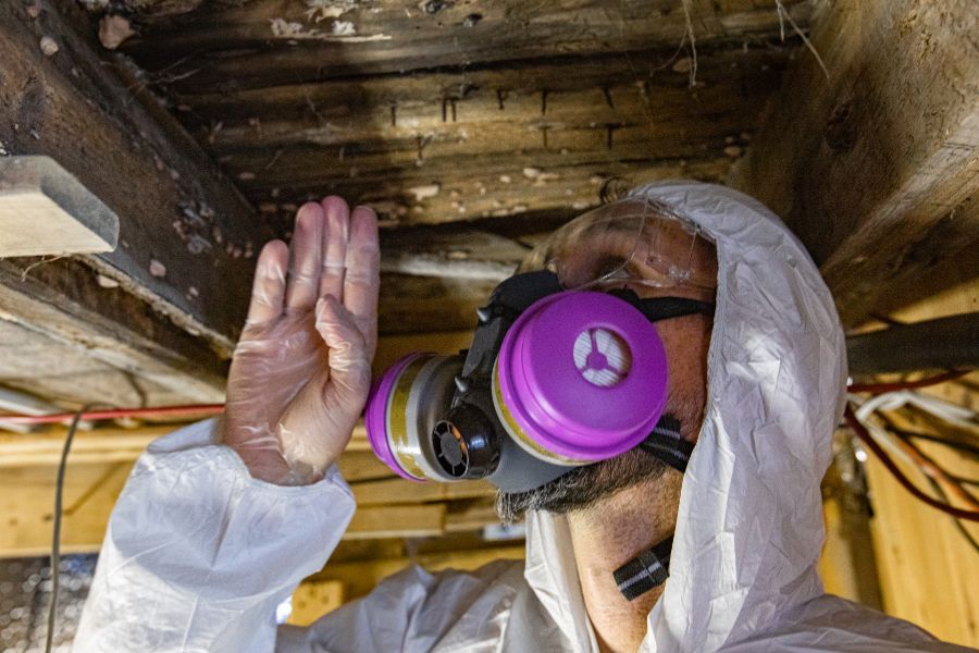 Termite Inspection Montgomery County