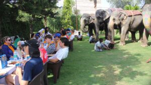 Elephant Village in Jaipur 